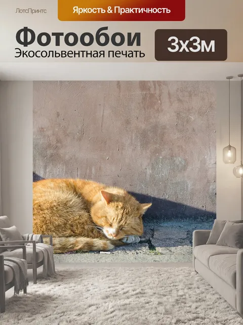 Фотообои Кошка