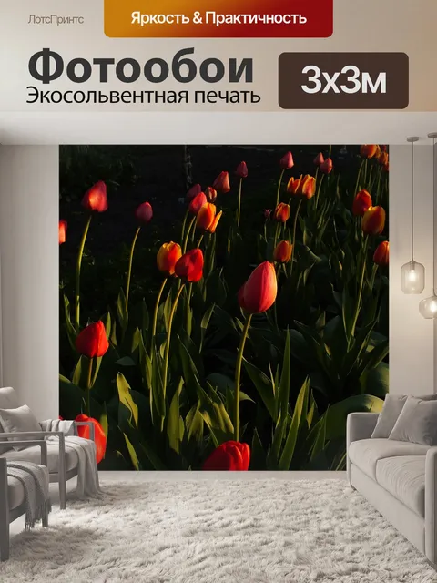 Фотообои Тюльпаны
