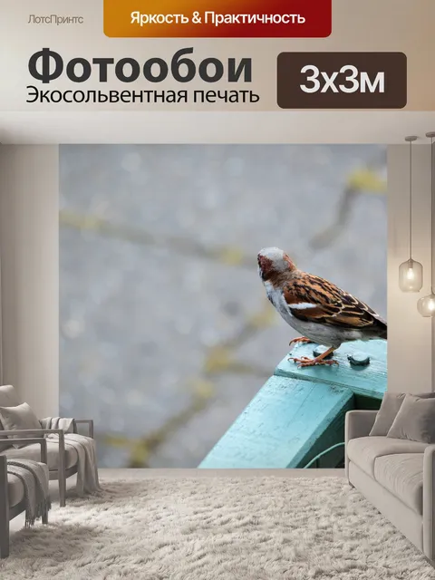 Фотообои Воробей