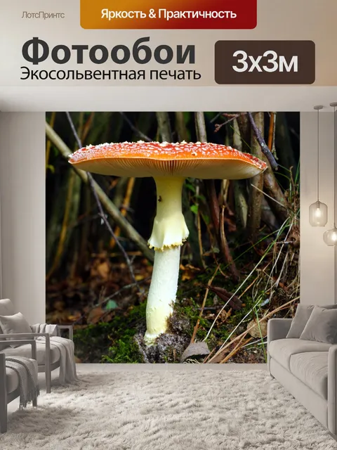 Фотообои Мухомор осенний лес