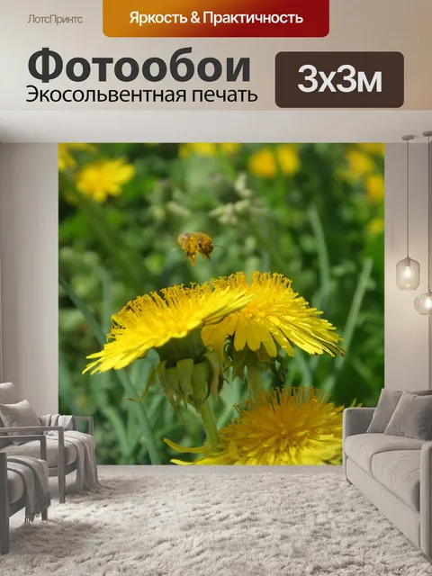 Фотообои Пчела