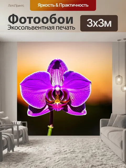 Фотообои орхидея с фиолетовыми лепестками на фоне заката, окрашенным в те же тона