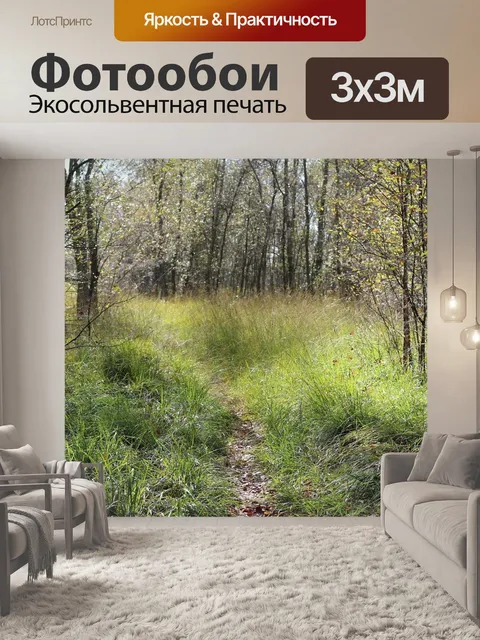 Фотообои Лесная тропа