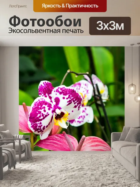 Фотообои Орхидеи
