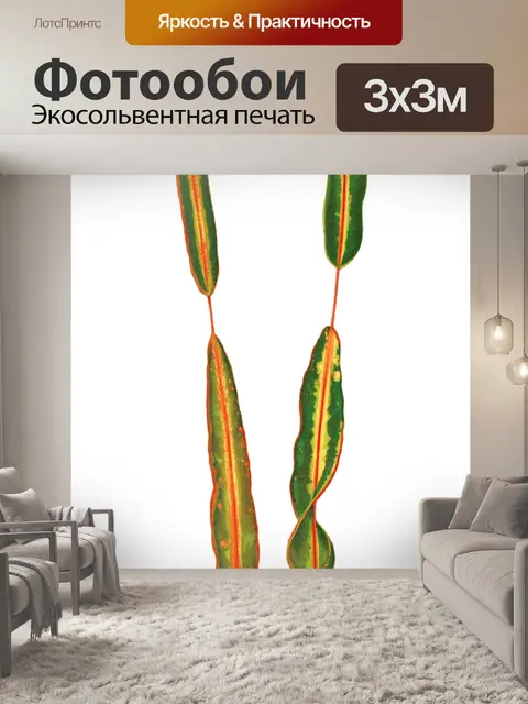Фотообои Листва лист растение прозрачный