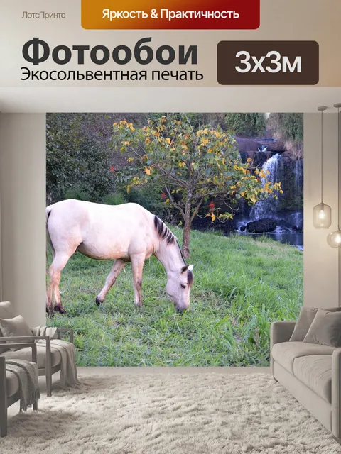 Фотообои Лошадь