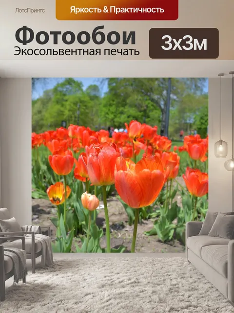 Фотообои Цветы
