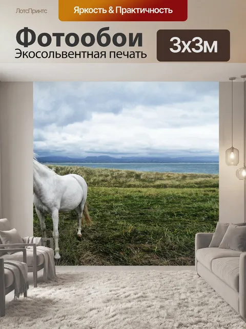 Фотообои Лошадь