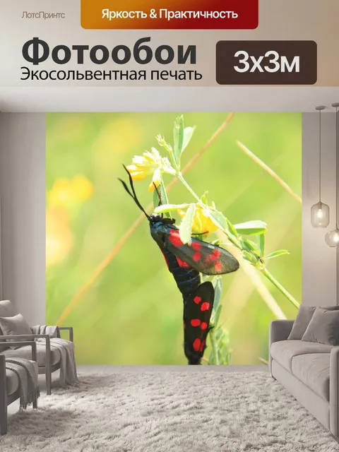 Фотообои Чернить