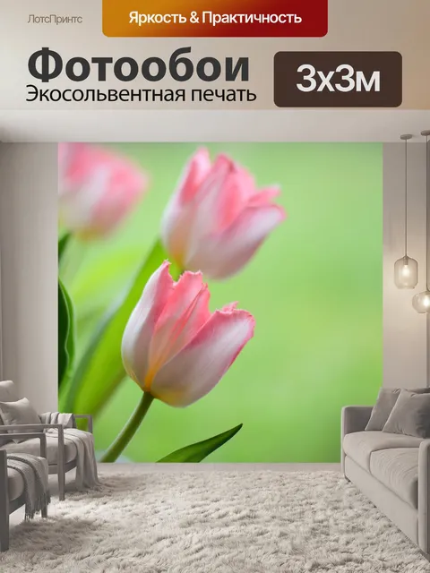 Фотообои Тюльпаны