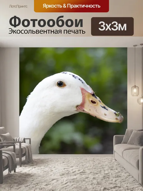 Фотообои Животное