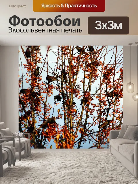Фотообои Птицы