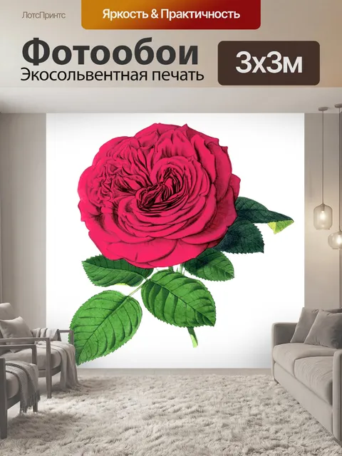 Фотообои Роза цветут винтажное искусство