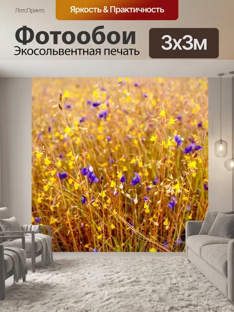 Фотообои дикие цветы, Таиланд