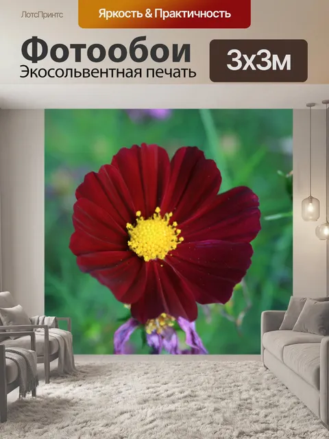 Фотообои темно-красные космос