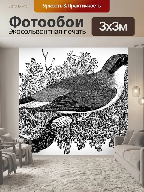 Фотообои Красноспинный сорокопут