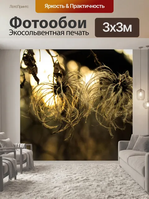 Фотообои Солнце