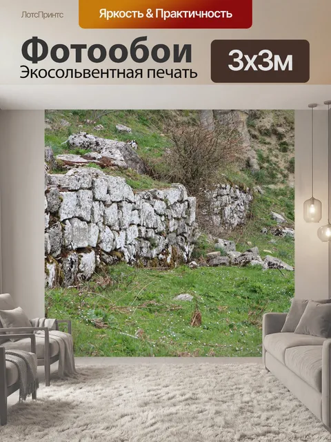 Фотообои Стена