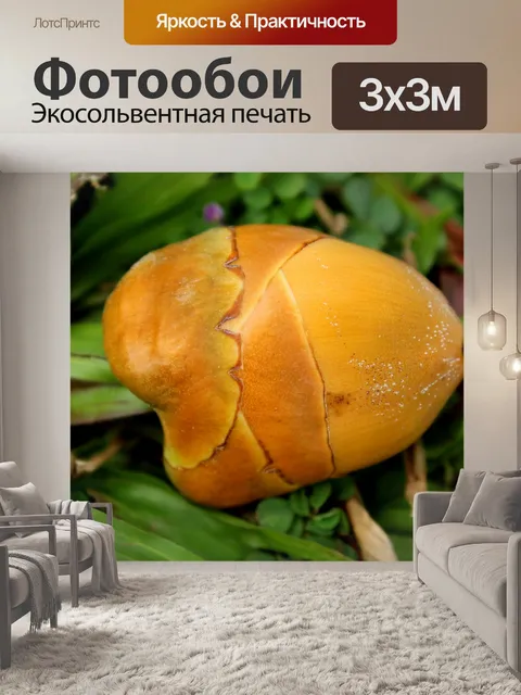 Фотообои крошечная золотая сосна фрукты