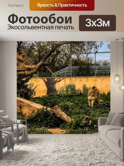 Фотообои Природа