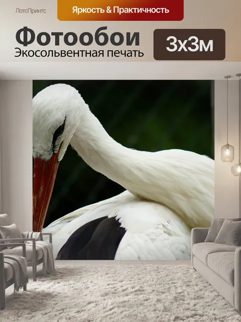 Фотообои Аист