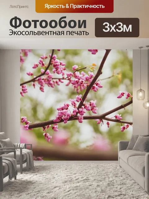 Фотообои Цветы