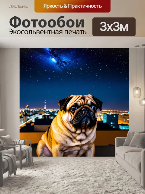 Фотообои мопс, который смотрит на звезды с крыши дома, в окружении ночного городского пейзажа