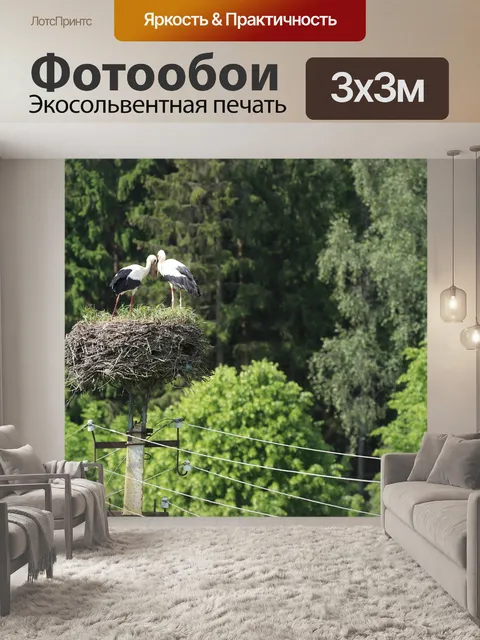 Фотообои Природа