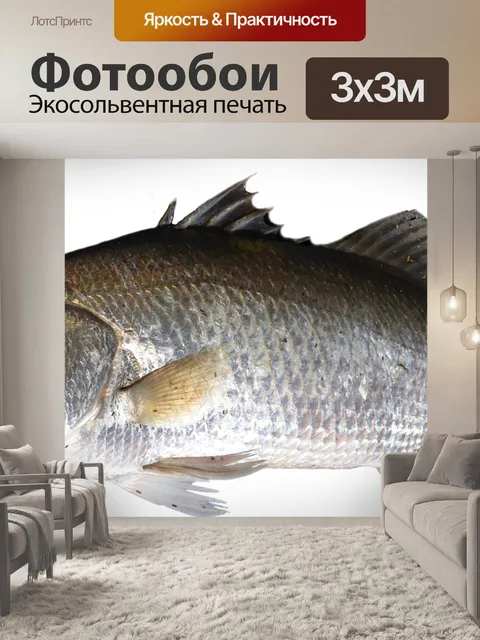 Фотообои Изолированный