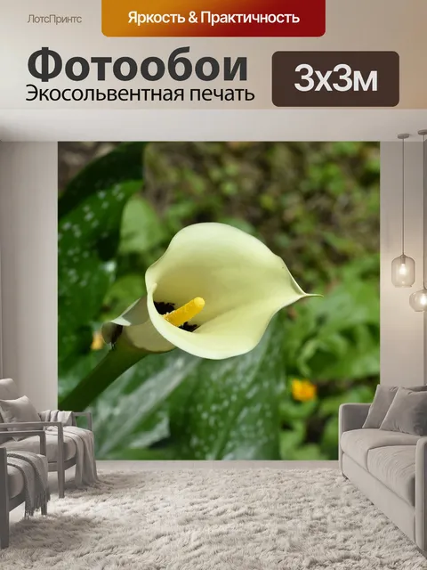 Фотообои Цветы