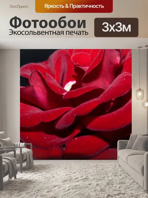 Фотообои Розы