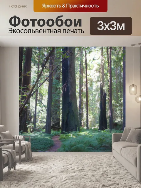 Фотообои Путь