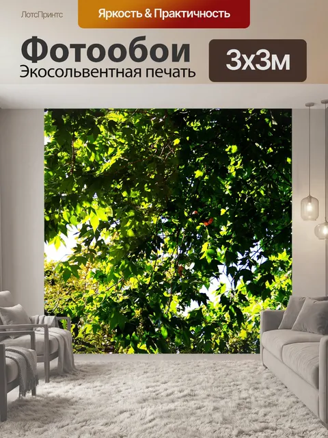 Фотообои Тень и свет на листве