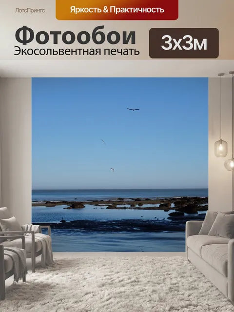 Фотообои Чайки