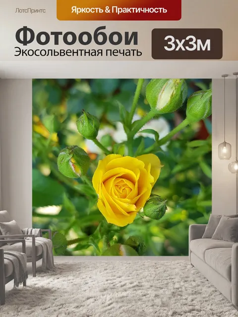 Фотообои Цветы