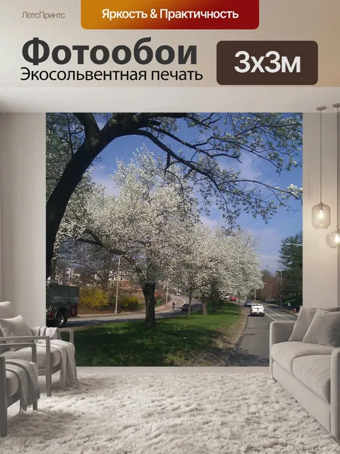 Фотообои Весеннее цветение деревьев