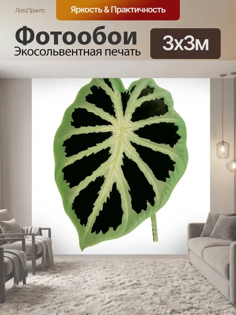 Фотообои Листва лист растение прозрачный