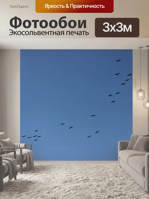 Фотообои Стая птиц