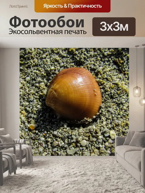 Фотообои Оболочка
