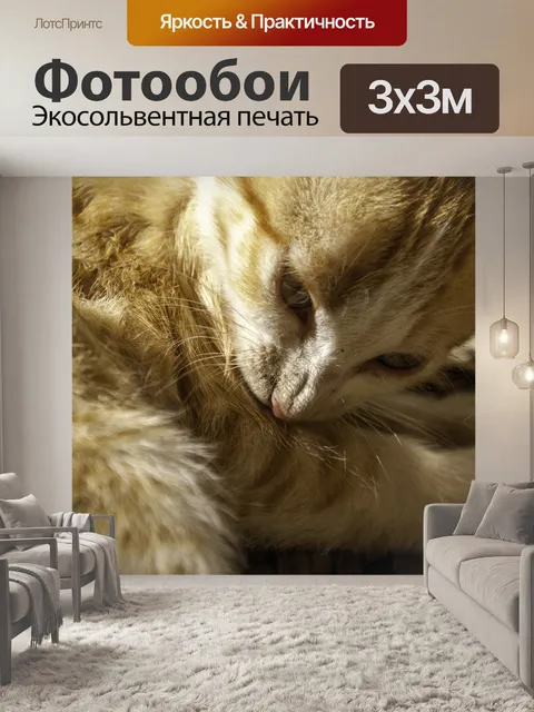 Фотообои Кошки