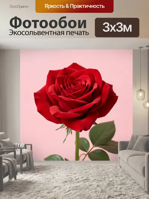 Фотообои Красная роза на пастельном фоне
