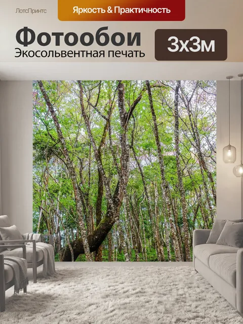 Фотообои Дикая гималайская вишня, Чианг Рай,