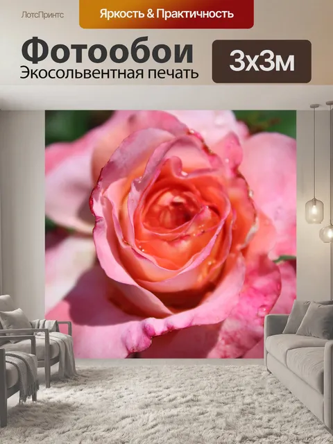 Фотообои Роза