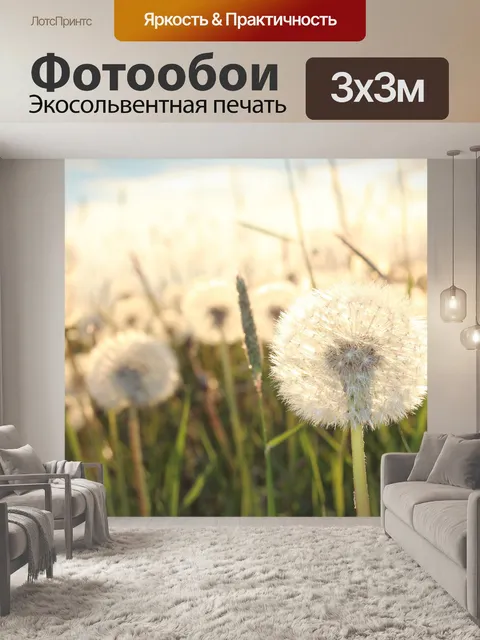 Фотообои Одуванчики