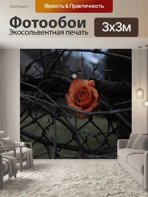 Фотообои Роза