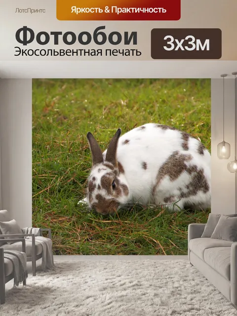 Фотообои Зайчик кролик зайчик пасха