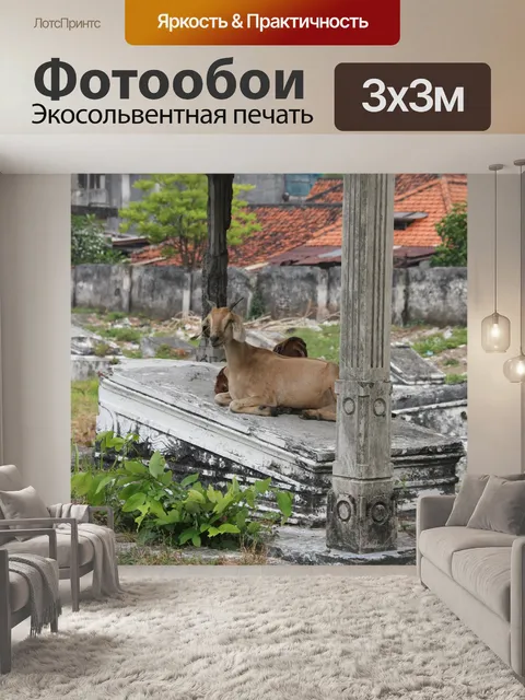 Фотообои Сурабая