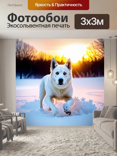 Фотообои в антураже зимнего заката