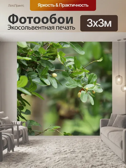Фотообои Дерево