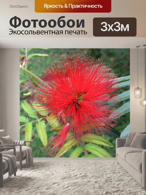 Фотообои Цветы
